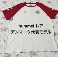 デンマーク代表 2002日韓W杯 ホームユニフォーム M 希少 未使用 DBU