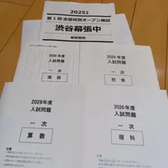 2026年最新】NNオープン模試の人気アイテム - メルカリ