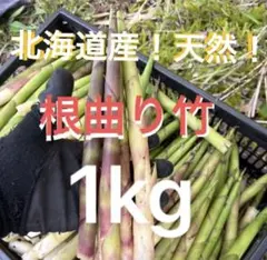 今シーズン最後 北海道道南産 根曲がり竹 1kg - メルカリ