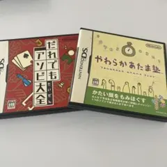ニンテンドーDSソフトだれでもアソビ大全 やわらかあたま塾　ケース説明書付き