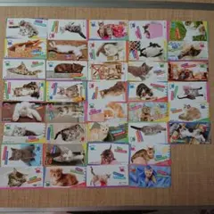 きまぐれねこにゃん カード 38種類38枚セット