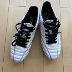 Item thumbnail for item 5a33cf8f-a728-4b7d-b72e-028959358c22