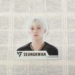 SVT GUMMI 2  ステッカー ☆ SEUNGKWAN(ノーマルver.)