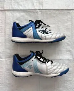 Item thumbnail for item 797e20c0-b742-4568-8fd4-8c40f9affe11