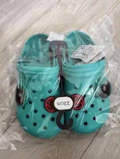 Item thumbnail for item 6b8edc08-538e-4e0e-9fe4-b04006307d19