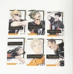 ハイキュー 箔押しクリアカード 烏野
