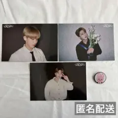 straykids 展示会 チャンビン ポストカード 缶バッチ