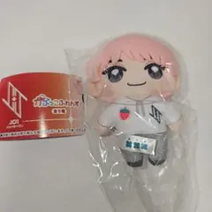 JO1 かぷっこふれんず ぬいぐるみ 川西拓実