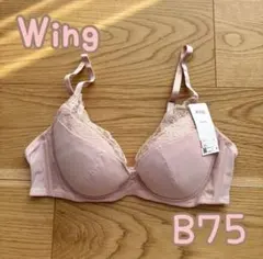 Item thumbnail for item e244a6e0-f92e-4467-8218-5d3b9c2be6bf