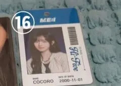 あれん様専用 1月5日