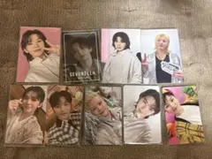 seventeen ウジ まとめ売り①