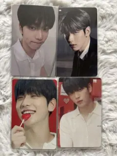 txt スビン　トレカ　sanctuary