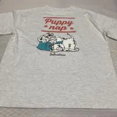 新品未使用 101匹わんちゃん Tシャツのサムネイル