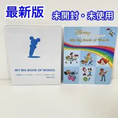 2026年最新】my big book of wordsの人気アイテム - メルカリ