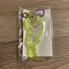 琵琶湖キーホルダー 黄