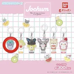 JOCHUM ジェオチャム ちまた めじるしアクセサリー