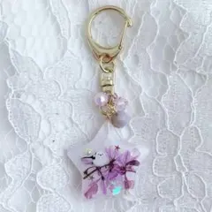 Item thumbnail for item 895b2209-d6dc-4f0d-a52b-c6d8218bc201