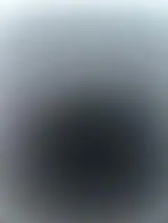 めめ様専用