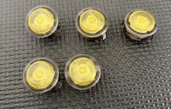 punkworkshop V1ボタン5個　35gスプリングカスタム