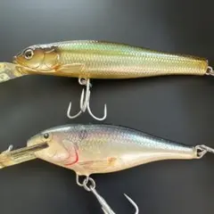 Item thumbnail for item b8dbbf13-a40b-42ca-91aa-8911771e7e86