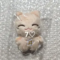 nctdream チョンロ ぬいぐるみ 公式 デパズ デヘッ 데렛 chenle - メルカリ