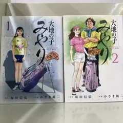 Item thumbnail for item f9cf56ed-9a32-408b-ab84-6618bd409f13