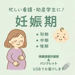 妊娠期 保健指導計画書＆パンフレット　USBデータ