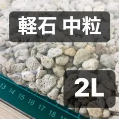 軽石 中粒 2L 多肉植物 サボテン 観葉植物土 魂根植物のサムネイル