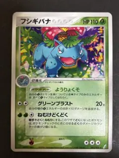 フシギバナ LV.55（型番：003/100）」の1st Edition（初版） - メルカリ