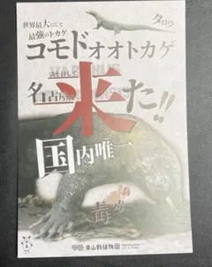 Item thumbnail for item b36b8820-a59a-4d74-916a-1944207fa8be