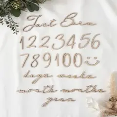 【セット割】木製 レターバナー 月齢フォト 23点セット / Aタイプ