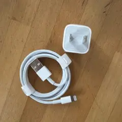 USB-A to LightningケーブルとACアダプタ