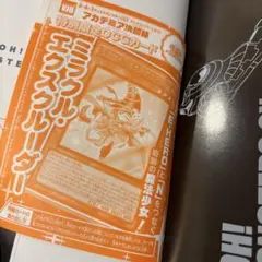 ミラクル•エクスクルーダー GX アニメコンプリートガイド アカデミア