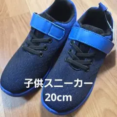 Item thumbnail for item 67a14446-a43a-4b52-9b35-a9f21e00da5d