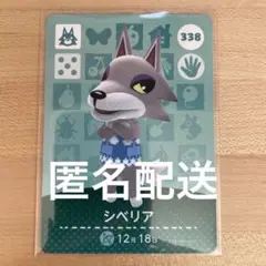 どうぶつの森　あつ森　amiiboカード　シベリア