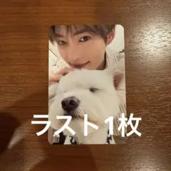 ZEROBASEONE レオ トレカ ハンビン