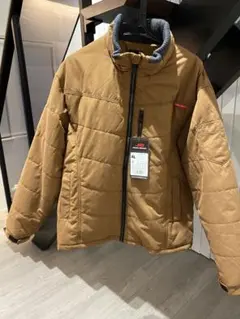 Item thumbnail for item 85ad39c9-253c-425b-a2dc-1dfba3098501