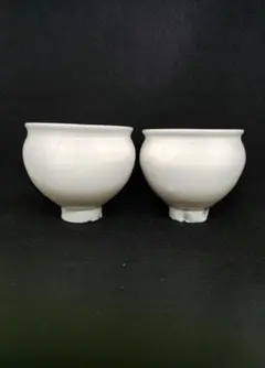 【新品未使用】鈴木環　ピジョンカップ　2セット 新品・中の小さめサイズ】鈴木環さん ピジョンカップ ツヤ有り2個