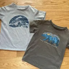 THE NORTH FACE Tシャツ 2枚セット