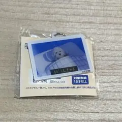 犬記録　ガチャガチャ　ガチャ　アクリルチャームマーカー