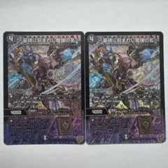 SILVA様 リクエスト 2点 まとめ商品