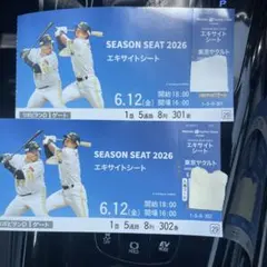 みずほPayPayドーム エキサイトシート 6/12 2枚連番のサムネイル