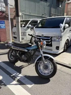 カール様専用 エイプ用ミニトリック管 - メルカリ