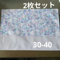 Item thumbnail for item 824ed50f-28f4-4aa2-a290-03c596721679