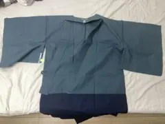 Item thumbnail for item 657272c0-87c1-463f-a771-35894d4c8f22