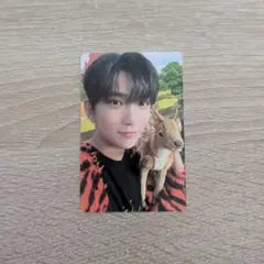 seventeen ジョシュア dicon トレカ