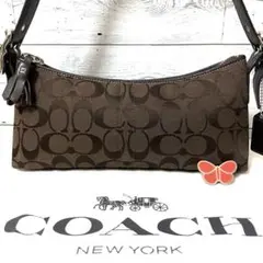 【美品】COACH アクセサリーポーチ ワンショルダー シグネチャー ブラウン