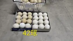 軟式野球ボール L号 練習球 まとめ売り20球 - メルカリ
