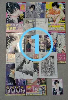 ①￥3300 2口発送商品【購入⚠注意】 春の嵐とモンスター 1〜8巻