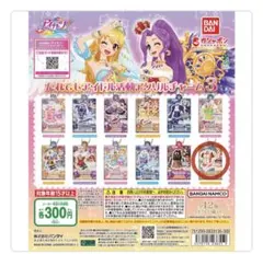 アイカツ！ だれでもアイドル活動アクリルチャーム３　有栖川おとめ